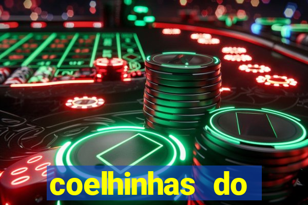 coelhinhas do brasil site